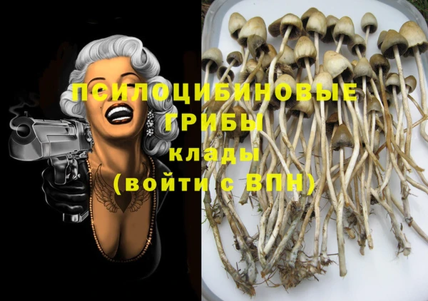 Альфа ПВП Кулебаки