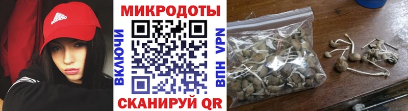 Псилоцибиновые грибы Psilocybe  купить наркоту  Бердск 