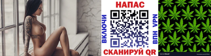 Конопля AK-47  магазин продажи наркотиков  МЕГА вход  Бердск 